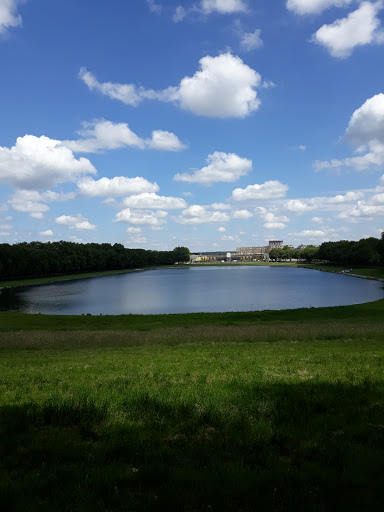 Photo de Maison Saint Louis à Versailles (78000)