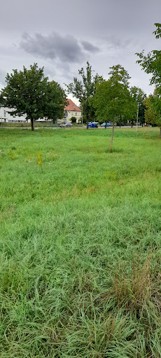Orlamünder Weg - Visual