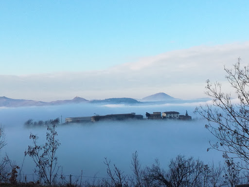 Tagani Stefano - Visual