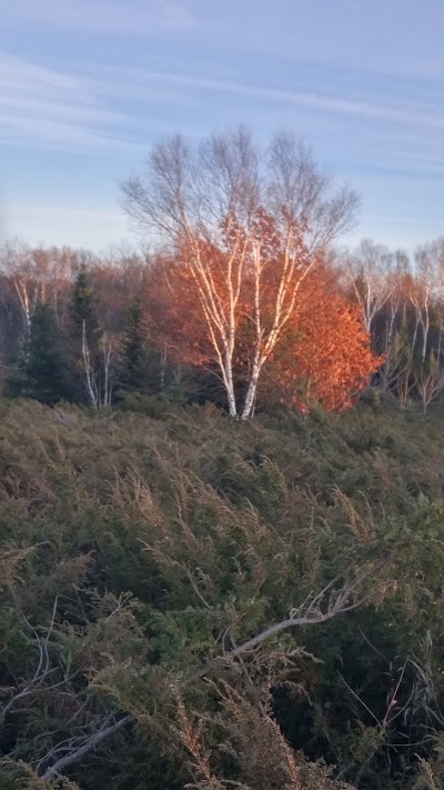 Photos of Little Sand Bay Nature Preserve