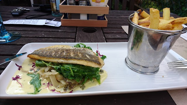 The Stag On The River