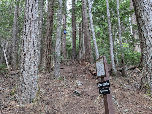Cheakamus Lake Campground - Thumbnail
