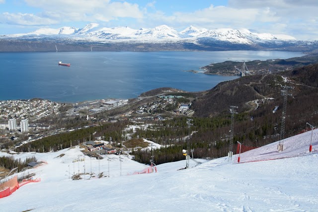 Narvik Ski slope