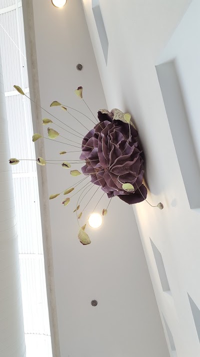 Photos of Center for Art & Theatre