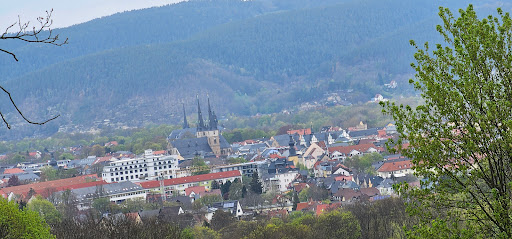 Bildungszentrum Saalfeld gGmbH - Thumbnail