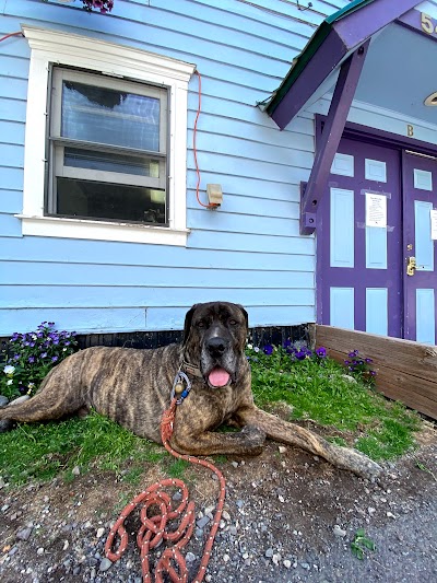 Telluride Veterinary Clinic