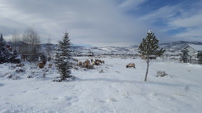 Photos of Mountain Life Church