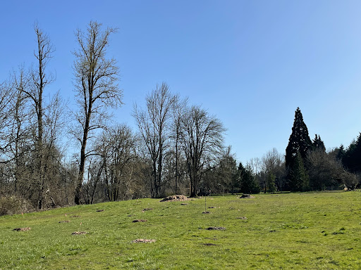 River Loop Park - Visual