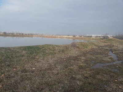 Kavaklı Creek Recreation Area Oak Grove