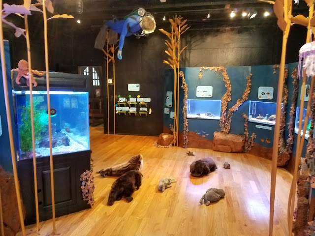 The Children's Museum at La Habra