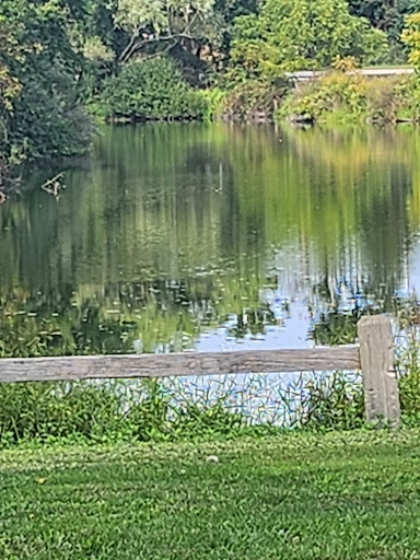 Wolf Pit Pond - Thumbnail