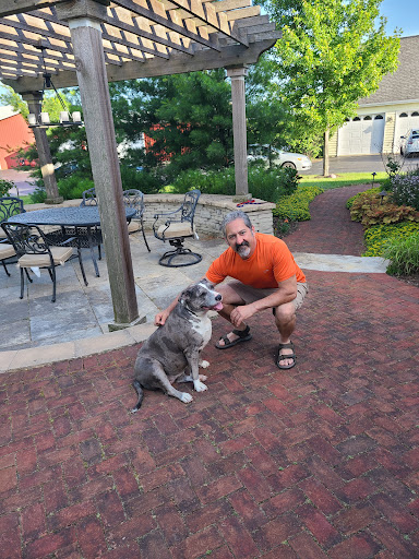 Marengo Animal Hospital - Thumbnail