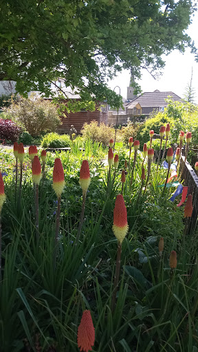 Kingsbridge Community Garden - Thumbnail