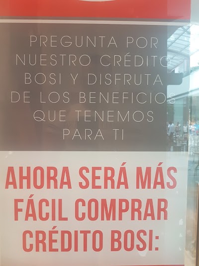Photos of BOSI OVIEDO