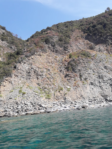 Ameglia Servizi Turistici S.R.L. - Thumbnail