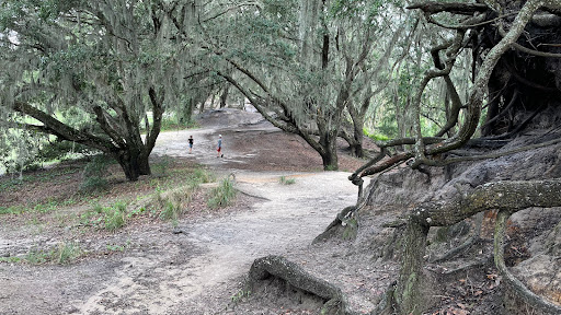 Medard Park/ Hillsborough County Parks - Thumbnail