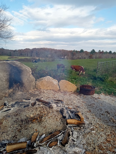Quisset Wildlife Management Area - Thumbnail