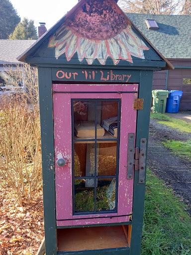 Our 'lil' Library - Visual