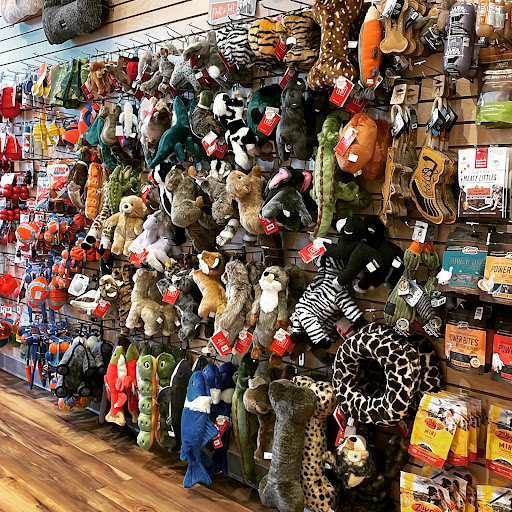 Westwood Pet Center - Thumbnail