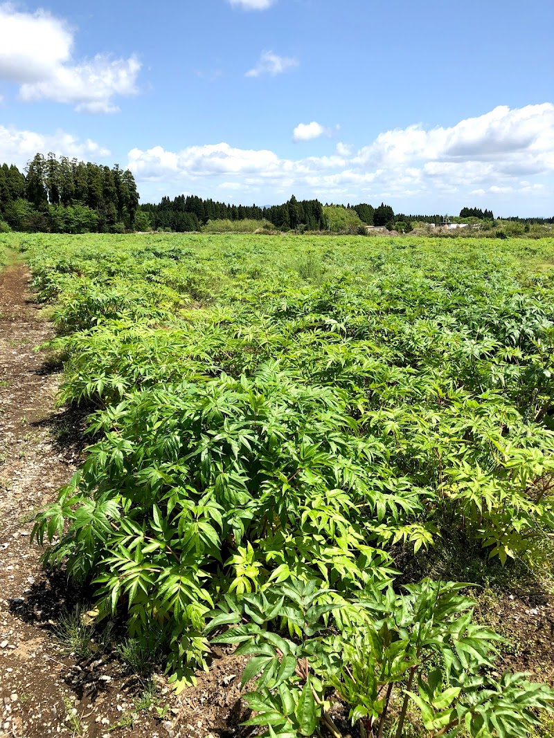 有限会社 日本山人蔘生産組合