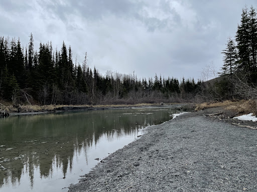 Briggs Bridge - Visual