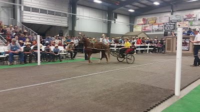 Photos of Mt. Hope Auction