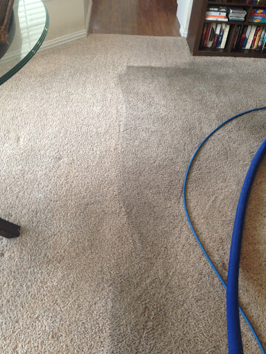 Blue Jay Carpet Cleaning - Thumbnail