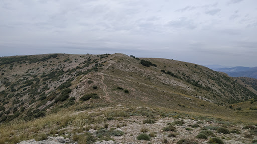 LUJAR E.R - Visual