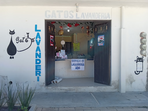 Gatos - Visual