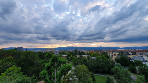 Parc Geisendorf - Thumbnail