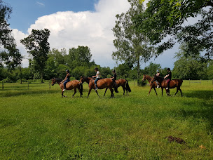 Photo n°9 de Les écuries d'indica à Le Passage (Écurie)
