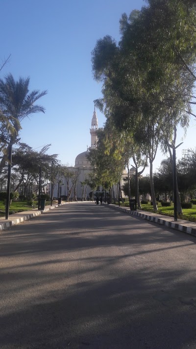 Photos of Masjed Masr University