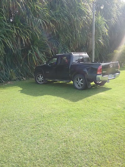 Photos of Silver Palms