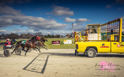 Northside Downs - Visual