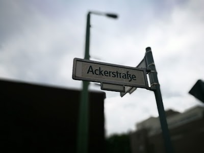 Photos of Berlin on Bike Tours