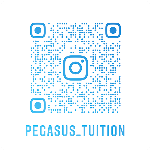 Pegasus Tuition - Thumbnail