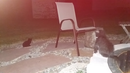 Rutar's Nightly Rentals - Thumbnail