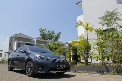 car-rental