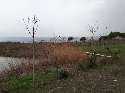 Merxhani Lagoon