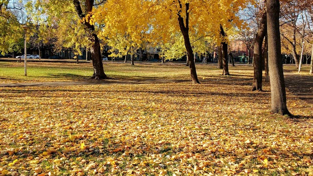 Parc La Fontaine
