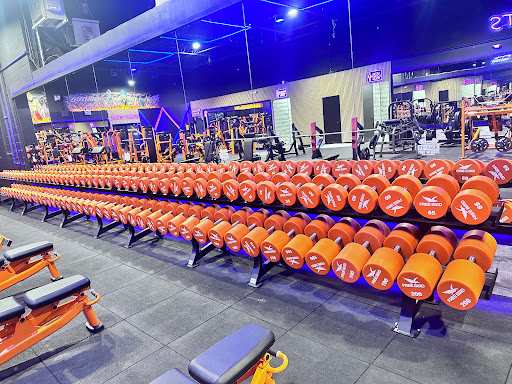 Free Bird Gym Mississauga - Thumbnail