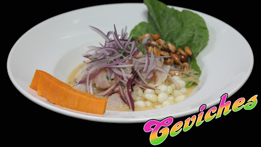 561CEVICHE - Visual