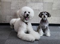 ペットサロン ワン・スペース