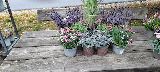 Das Tor zum Garten