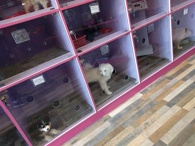 Photos of Lucky Pet Shop