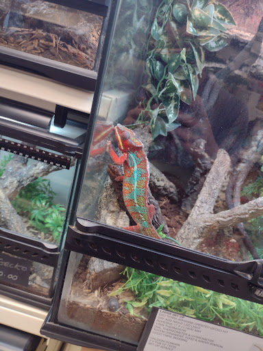 Tails and Scales Pet Centre