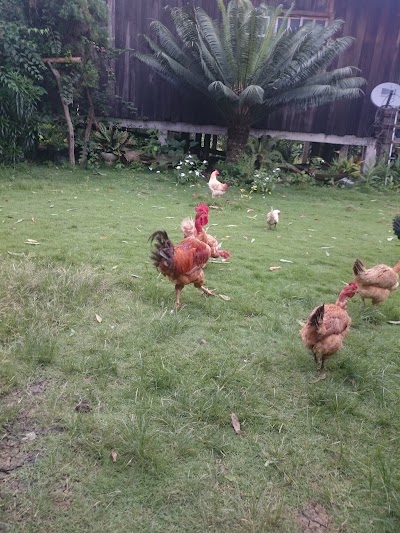 Photos of PDS. Jairo Loor