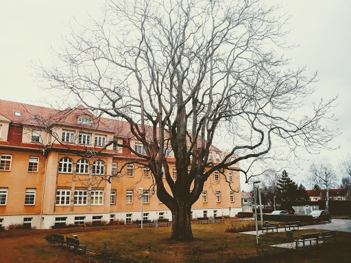 SRH Klinikum Naumburg | Klinik für Kinder- und Jugendmedizin Gallery - Germany