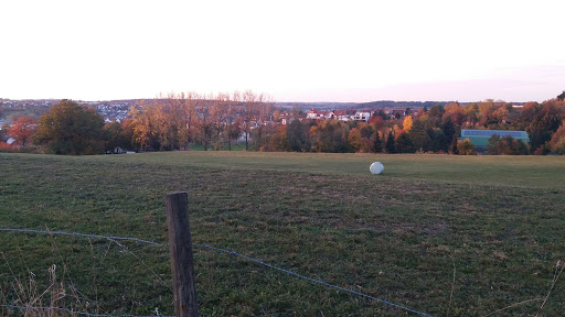 Spieselstadion - Visual