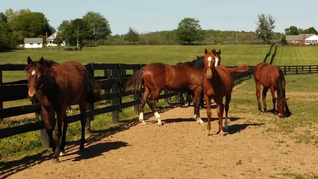 Rosecrest Farms